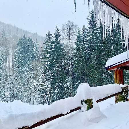 Penzion Horajda Hotel Vítkovice Kültér fotó
