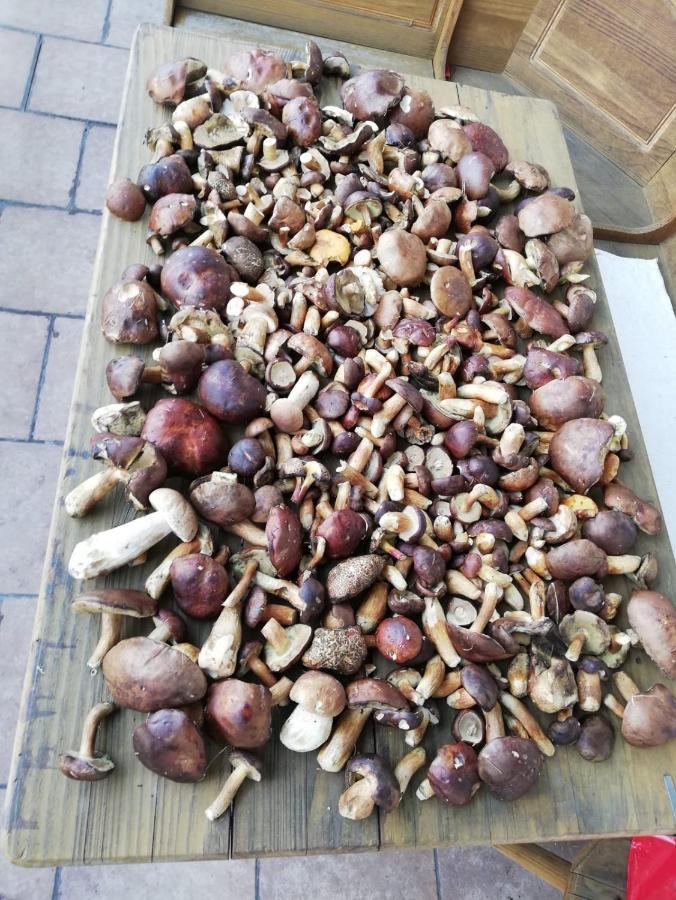 Penzion Horajda Hotel Vítkovice Kültér fotó